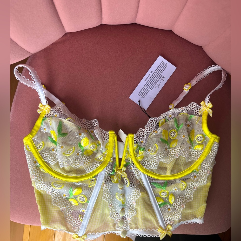 For Love & Lemons Daisy Bustier